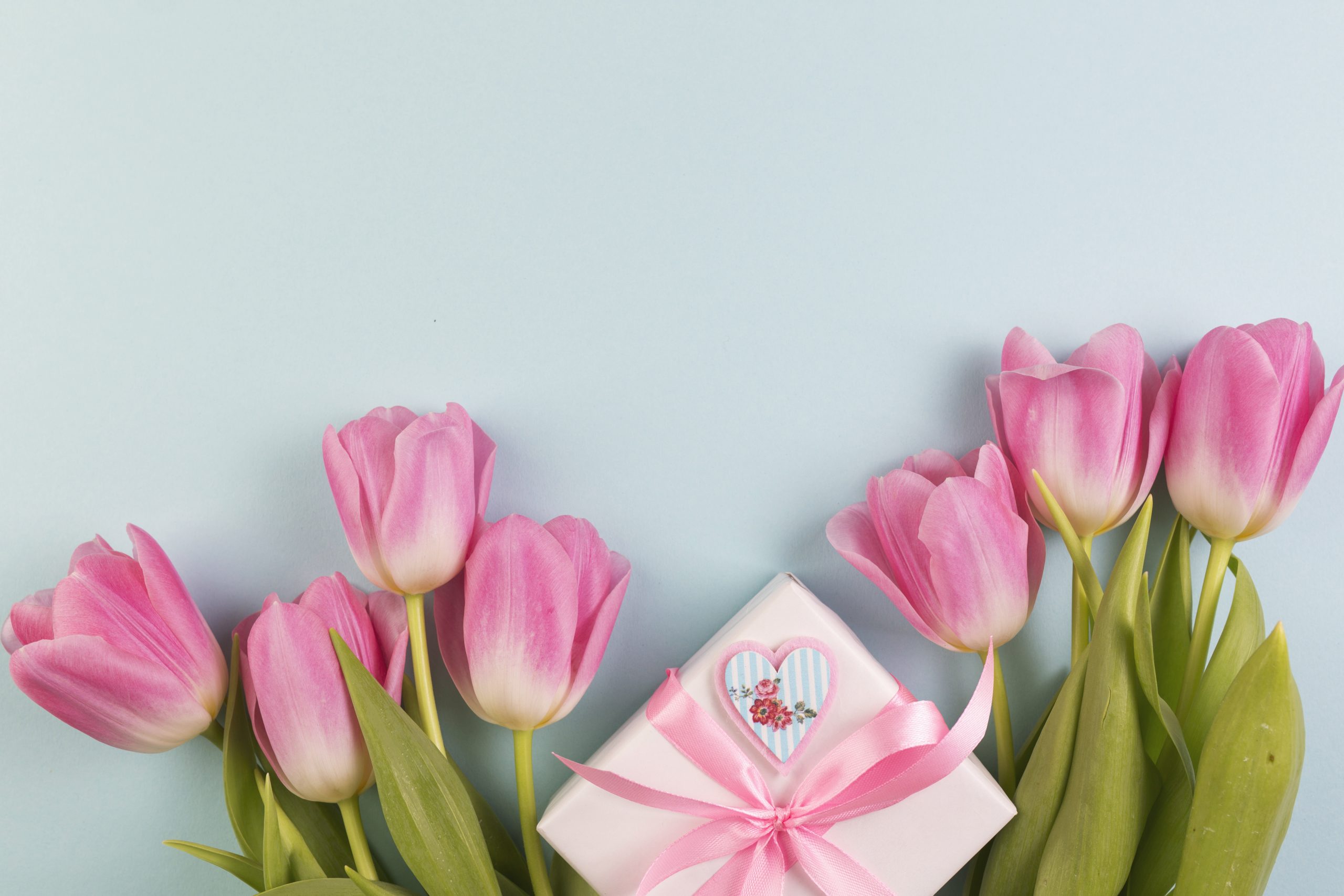 różowe tulipany i pudełko z prezentem