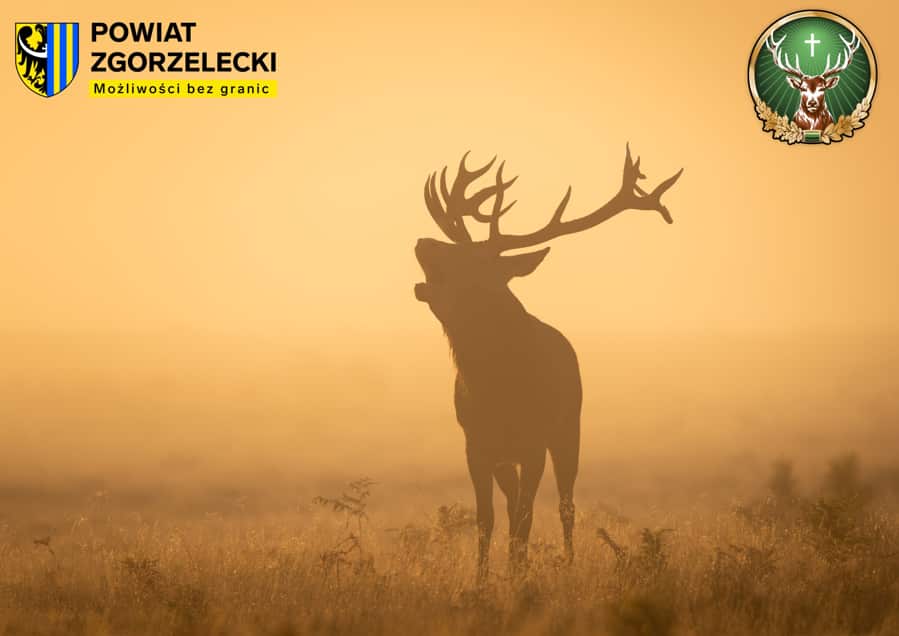 Święto Myśliwych – Hubertus