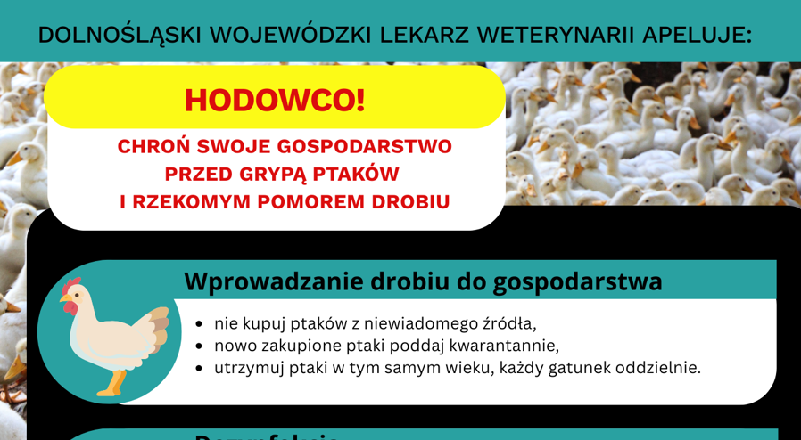 Uwaga hodowcy drobiu – komunikat Powiatowego Lekarza Weterynarii